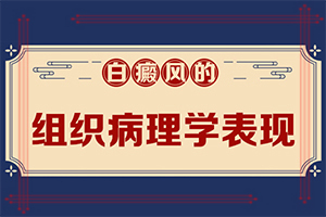 為什么會白殿風,導致的因素有哪些(白斑的因由是哪些)